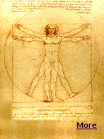 In the late 15th century, when the Italian Renaissance artist Leonardo da Vinci completed ''Vitruvian Man'' - one of his most famous drawings, which depicts the proportions of the human body - he could not have predicted it would be reproduced onto cheap notebooks, coffee mugs, T-shirts, aprons, and even puzzles. Centuries later, the Italian government and the German puzzle maker Ravensburger are battling over who has the right to reproduce ''Vitruvian Man'' and profit from it.
